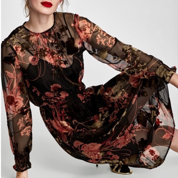 Zara Dresses Zara Velvet Floral Elastic Waist Sheer Midi Dress